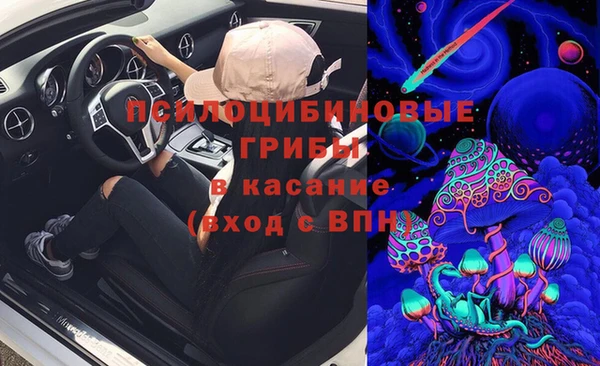 ECSTASY Покров