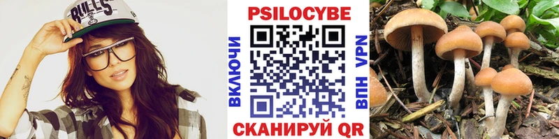 Галлюциногенные грибы Psilocybine cubensis  Ветлуга 
